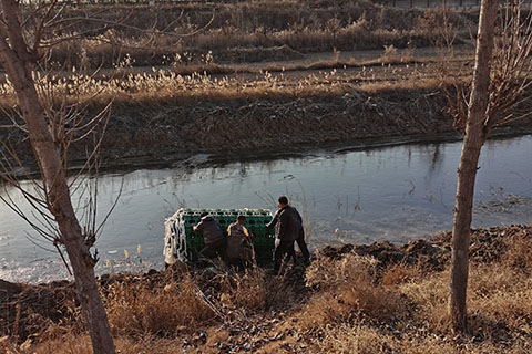 農(nóng)村生活污水治理原則