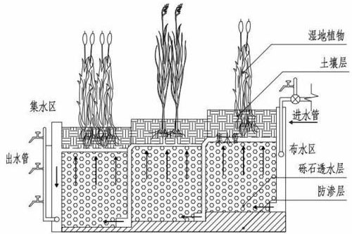 人工濕地的兩種構(gòu)造類(lèi)型